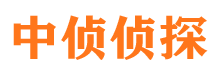 新河中侦私家侦探公司